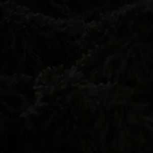 Meet your Posher, Sian